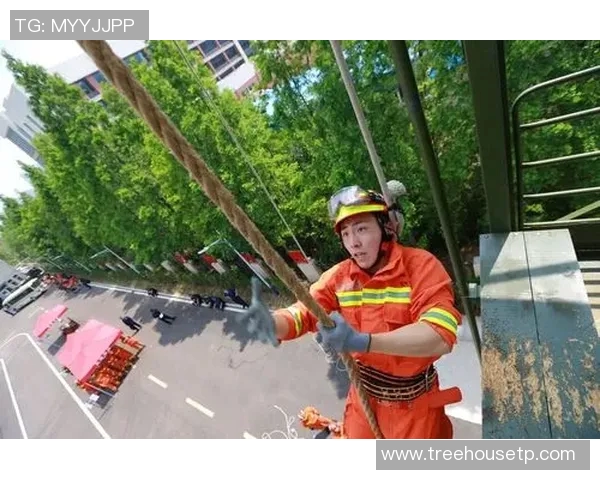 深圳排球队耐力变革引发热议助力球队新征程