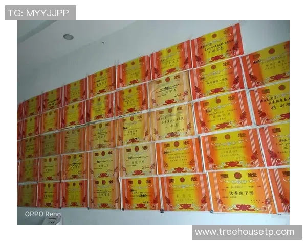 男童足球明星饭包的成长故事与梦想追逐之旅 男童足球明星饭包的成长故事与梦想追逐之旅