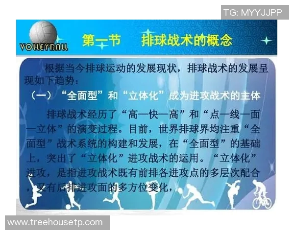 广州排球队意识对比深度解析与战术影响探讨