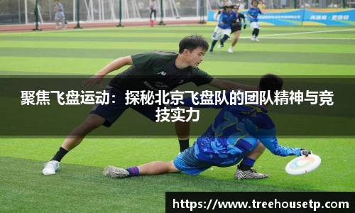 聚焦飞盘运动：探秘北京飞盘队的团队精神与竞技实力