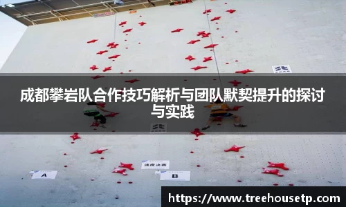 成都攀岩队合作技巧解析与团队默契提升的探讨与实践