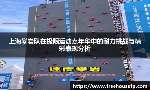 上海攀岩队在极限运动嘉年华中的耐力挑战与精彩表现分析