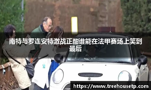 南特与罗连安特激战正酣谁能在法甲赛场上笑到最后