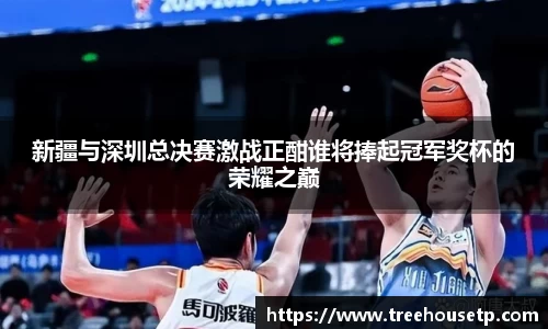 新疆与深圳总决赛激战正酣谁将捧起冠军奖杯的荣耀之巅