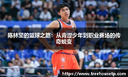 陈林坚的篮球之路：从青涩少年到职业赛场的传奇蜕变