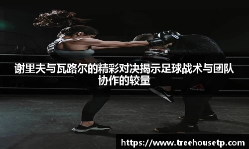 mk体育官网