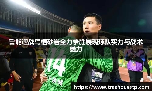 mk体育官网