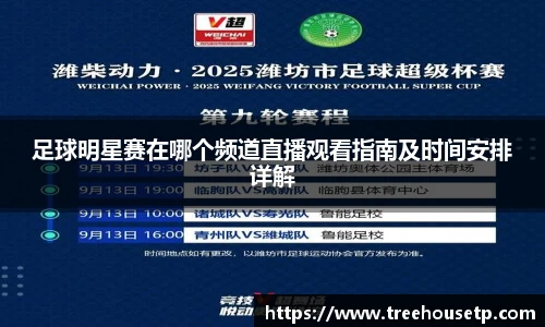 足球明星赛在哪个频道直播观看指南及时间安排详解