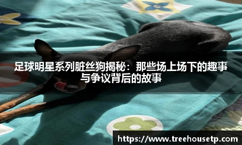 足球明星系列脏丝狗揭秘：那些场上场下的趣事与争议背后的故事
